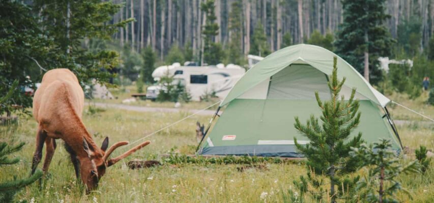 Tolle Naturcampingplätze in Deutschland – Ideal für Eueren Tipi-Urlaub oder Campingtrip - 